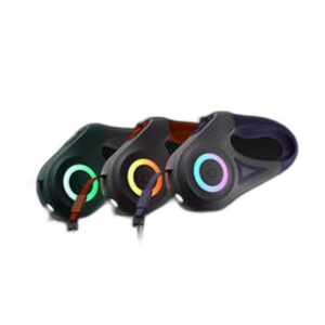 Laisse Automatic Retractable Leash pour Chien