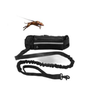 Laisse Leash Supplies Hands-Free pour Chien