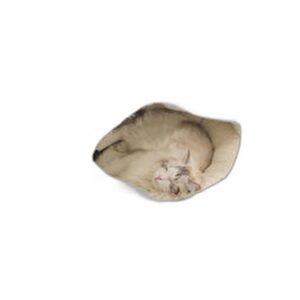 Panier Bed Round Plush pour Chien