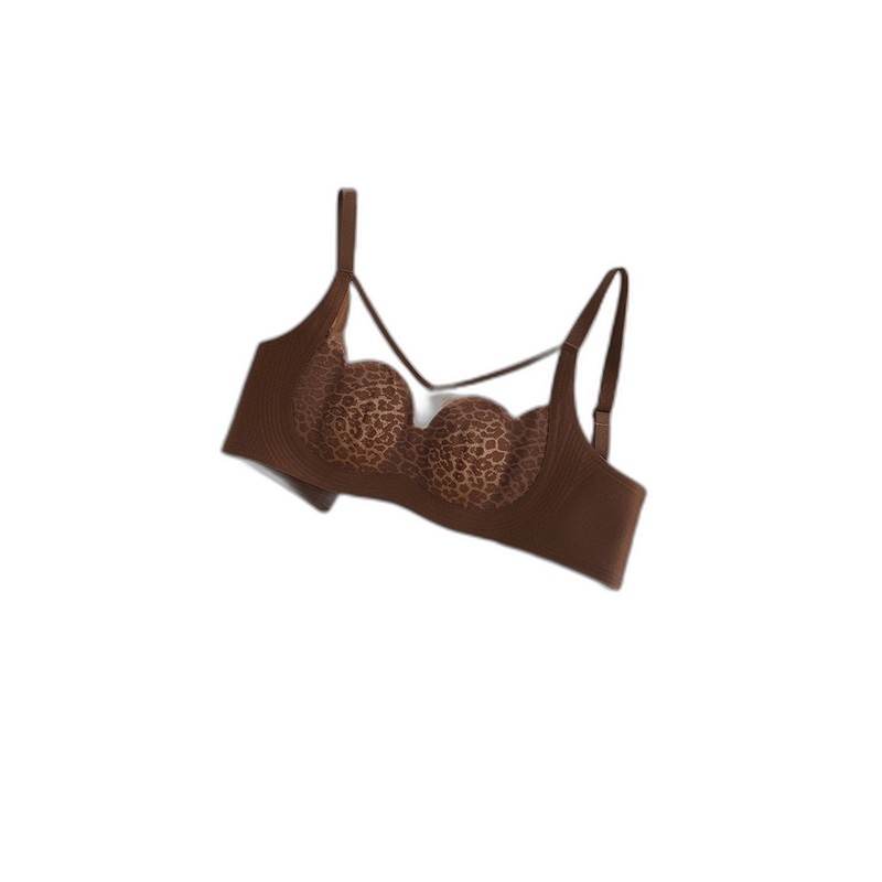 Brosse Démêlante Douce pour Chien