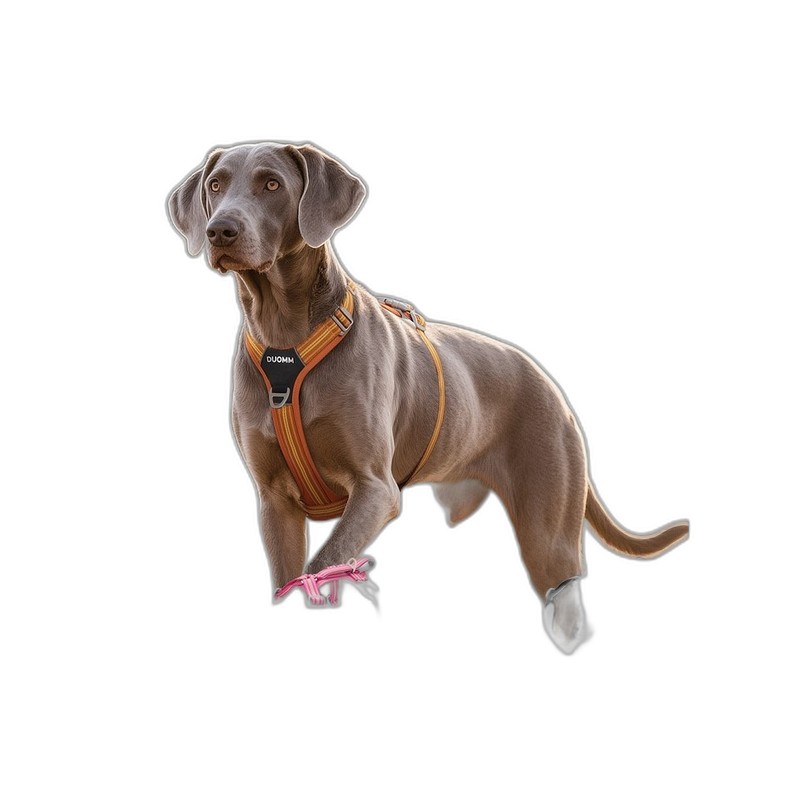 Panier Hamac Fenêtre pour Chat