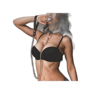 Distributeur Sacs Biodégradables Éco pour Chien