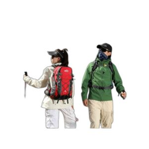 Fontaine à Eau Filtre Charbon 2L pour Chat