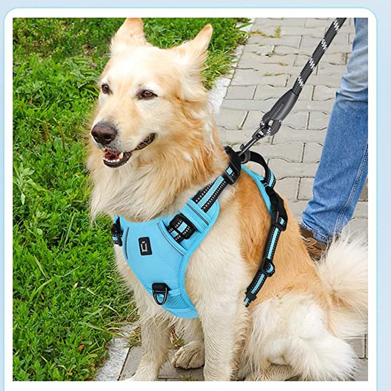 Harnais anti-traction chien rembourré respirant PawHaus