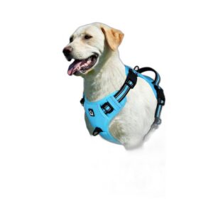 Harnais anti-traction chien rembourré respirant PawHaus