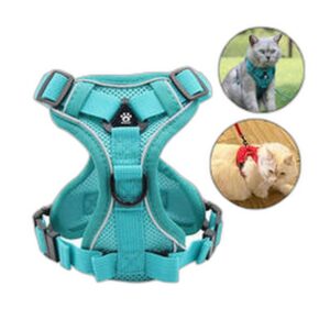Collier Nylon Résistant pour Chien — Réglable