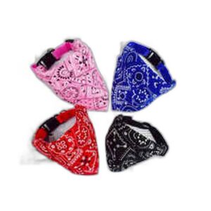 Collier Lumineux LED pour Chien — Sécurisé