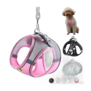 Gamelle Bambou Élégante pour Chien — Design