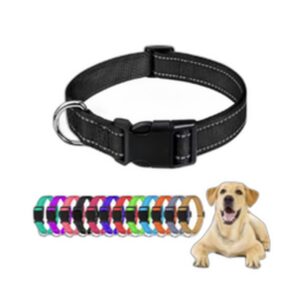 Gamelle Surélevée Inox pour Chien — Surélevée