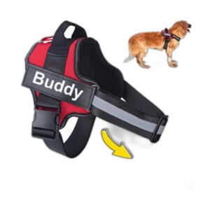 Manteau Pluie Léger pour Chien — Chaud