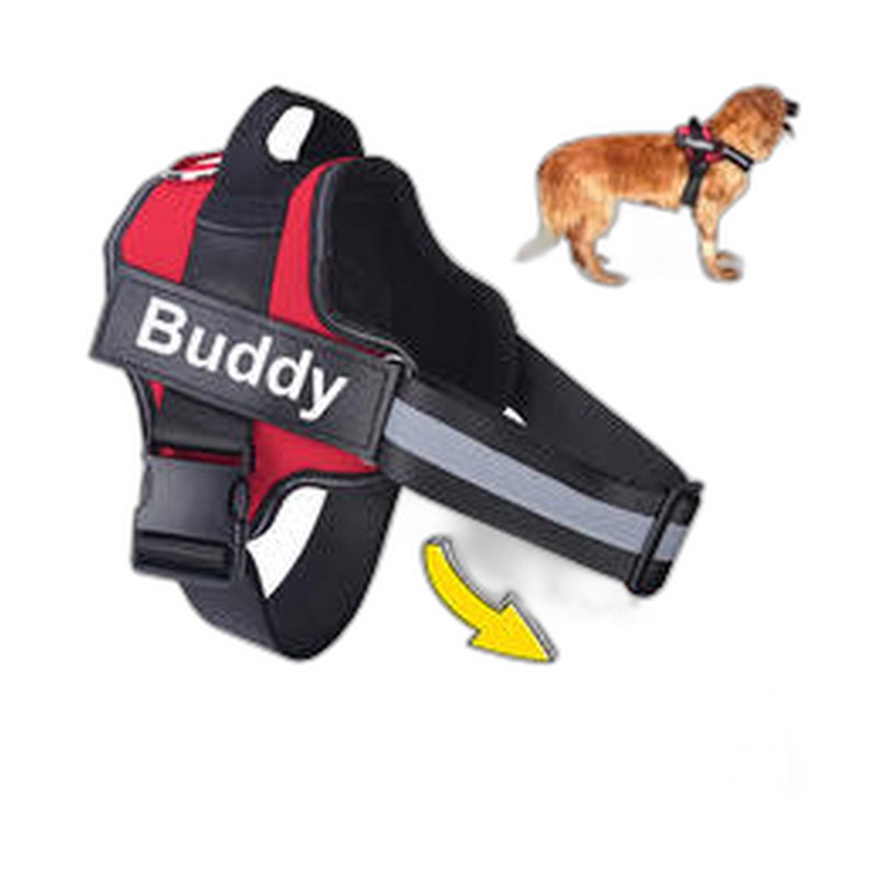 Manteau Pluie Léger pour Chien — Chaud