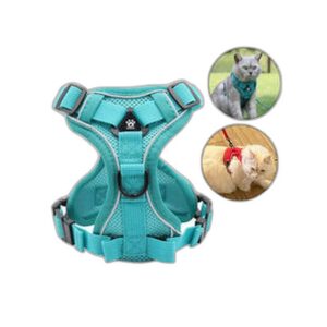 Bandana Motifs Exclusifs pour Chien — Exclusif